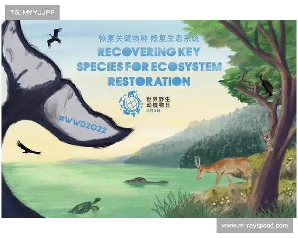 赛事内容生态系统正向用户共创延伸，激活参与热情。